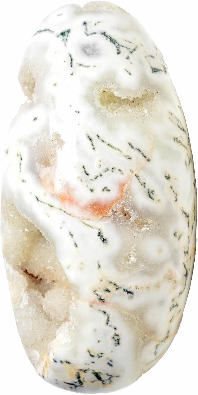 2.377 Kg Natural Dendrite Moss Agate 7.6 x 4 Druzy Egg Stone Mineral Gemstone W/Stand