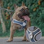 Harnais de chien avec jeu de laisse, Pas de traction réglable Étape dans avec respirant rembourré puppy Harnais pour les petits grands chiens moyenne marche et course (Gray, XS)
