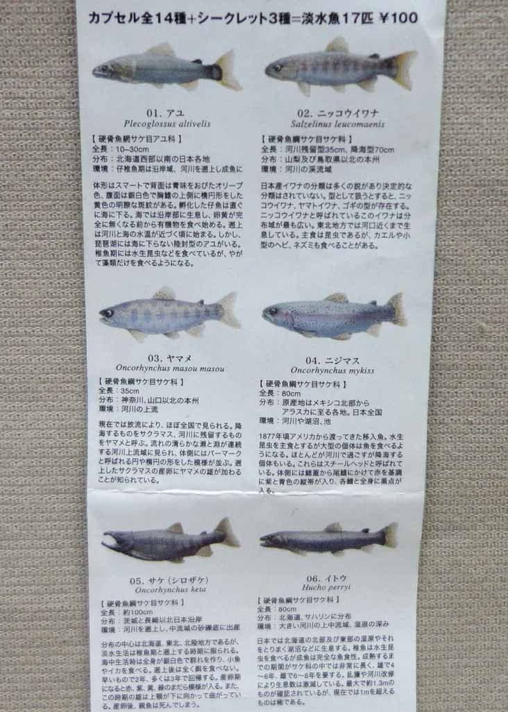Amazon | 原色淡水魚図鑑1 改訂版 アカメ 若魚 ユージン 動物