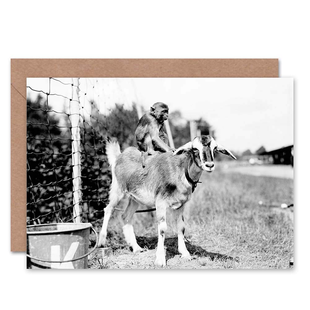 Wee Blue Coo VINTAGE PHOTOGRAPHY CHAINED MONEKY RIDING GOAT NEW BLANK GREETINGS CARD