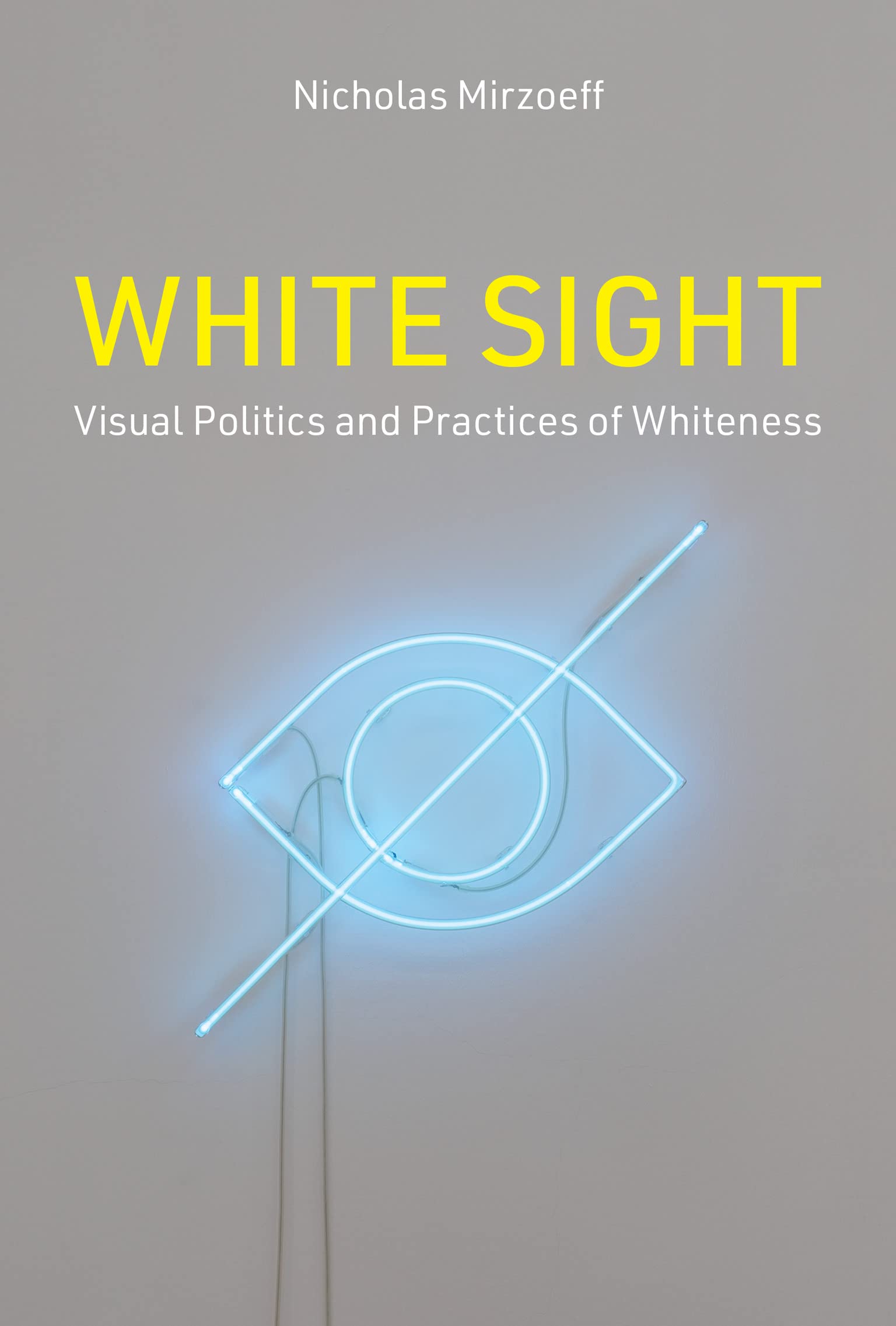 White Sight: Visual Politics and Practices of Whiteness (English Edition)