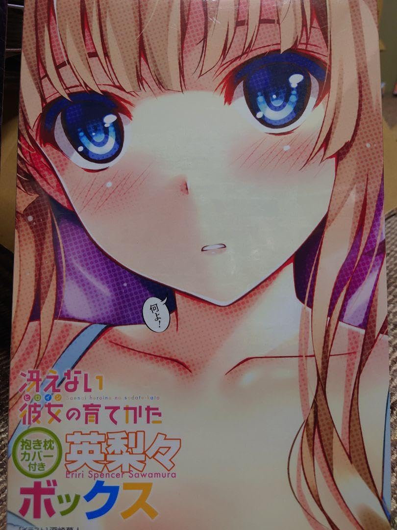 Amazon.co.jp: 冴えない彼女の育てかた 詩羽 恵 英梨々 3BOX 抱き枕 