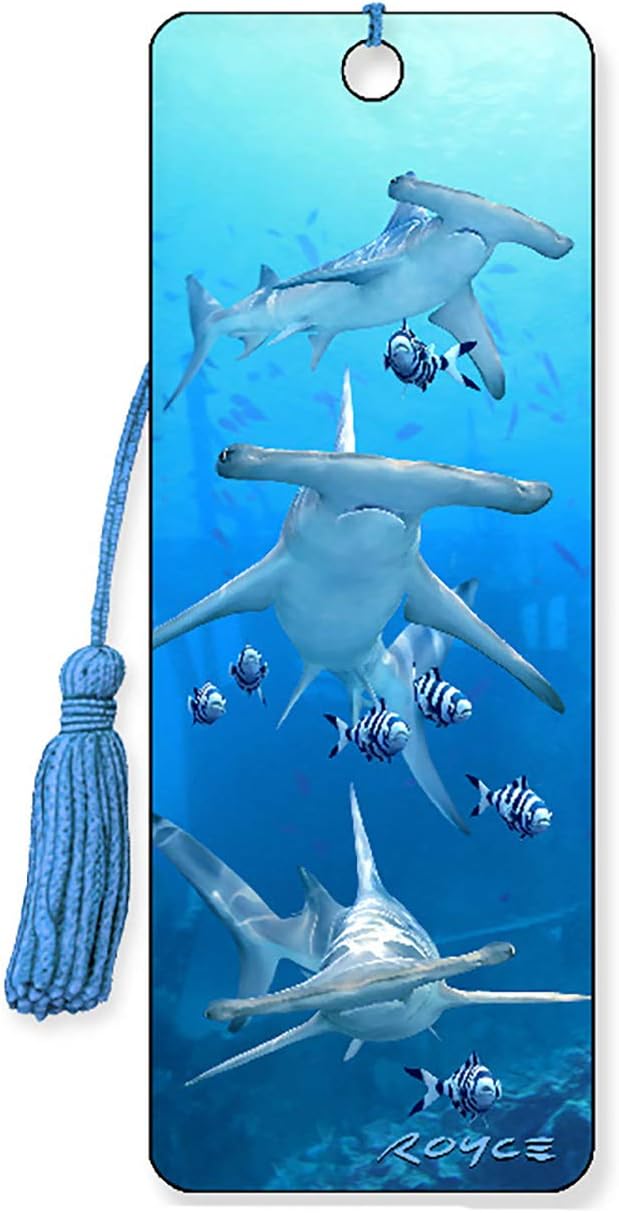 3D Shark Themed Products (Shark Cards)