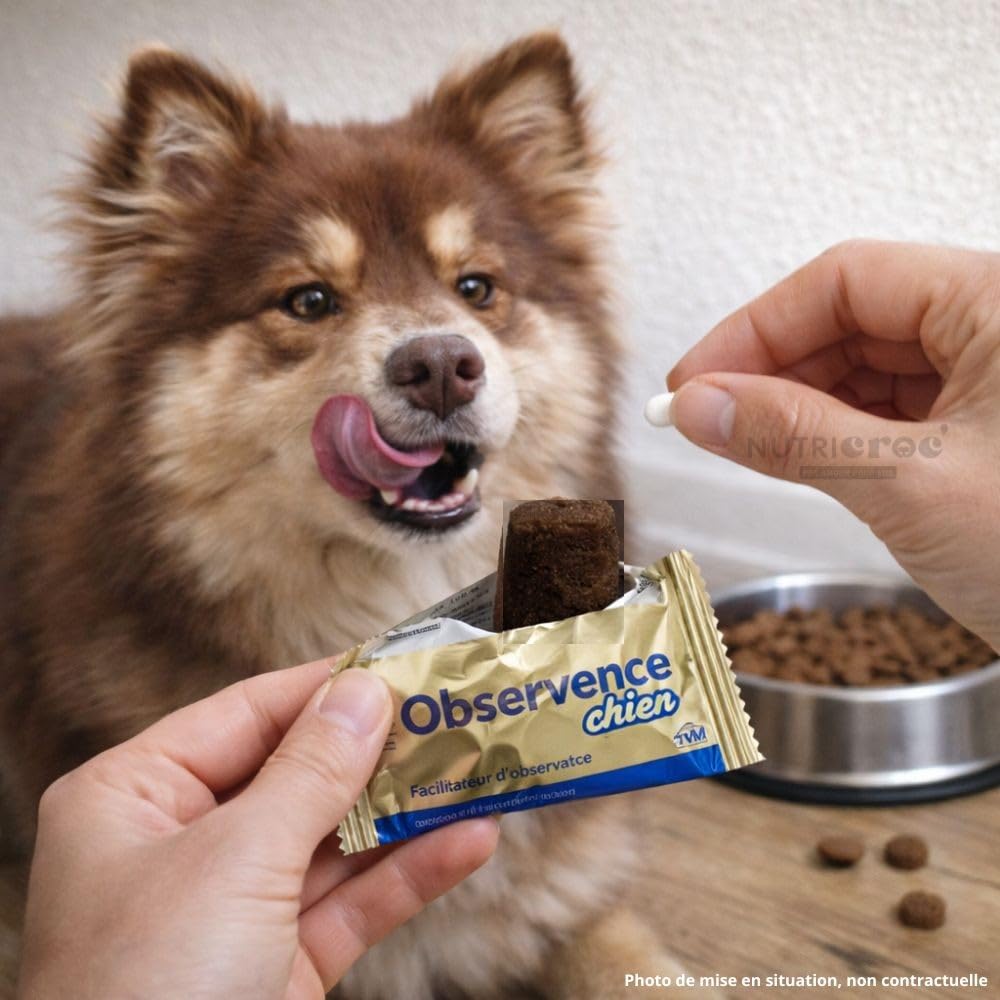 TVM - Observence chien 6 barres de 25 grs