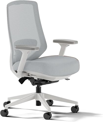 Branch Ergonomic Chair Pro