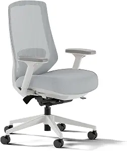 Branch Ergonomic Chair Pro, Mesh Office Chair with 14 Points of Adjustment