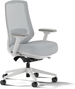 Branch Ergonomic Chair Pro, Mesh Office Chair with 14 Points of Adjustment