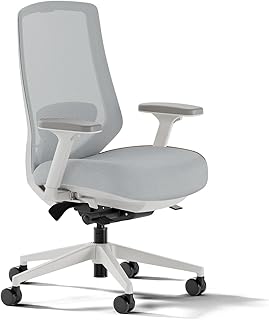 Branch Ergonomic Chair Pro - Mesh Office Chair with 14 Points of Adjustment - Height, Depth & Tilt Adjustable - 5D Armrests - Forward Tilt, Smooth Recline, and Lumbar Support - Mineral