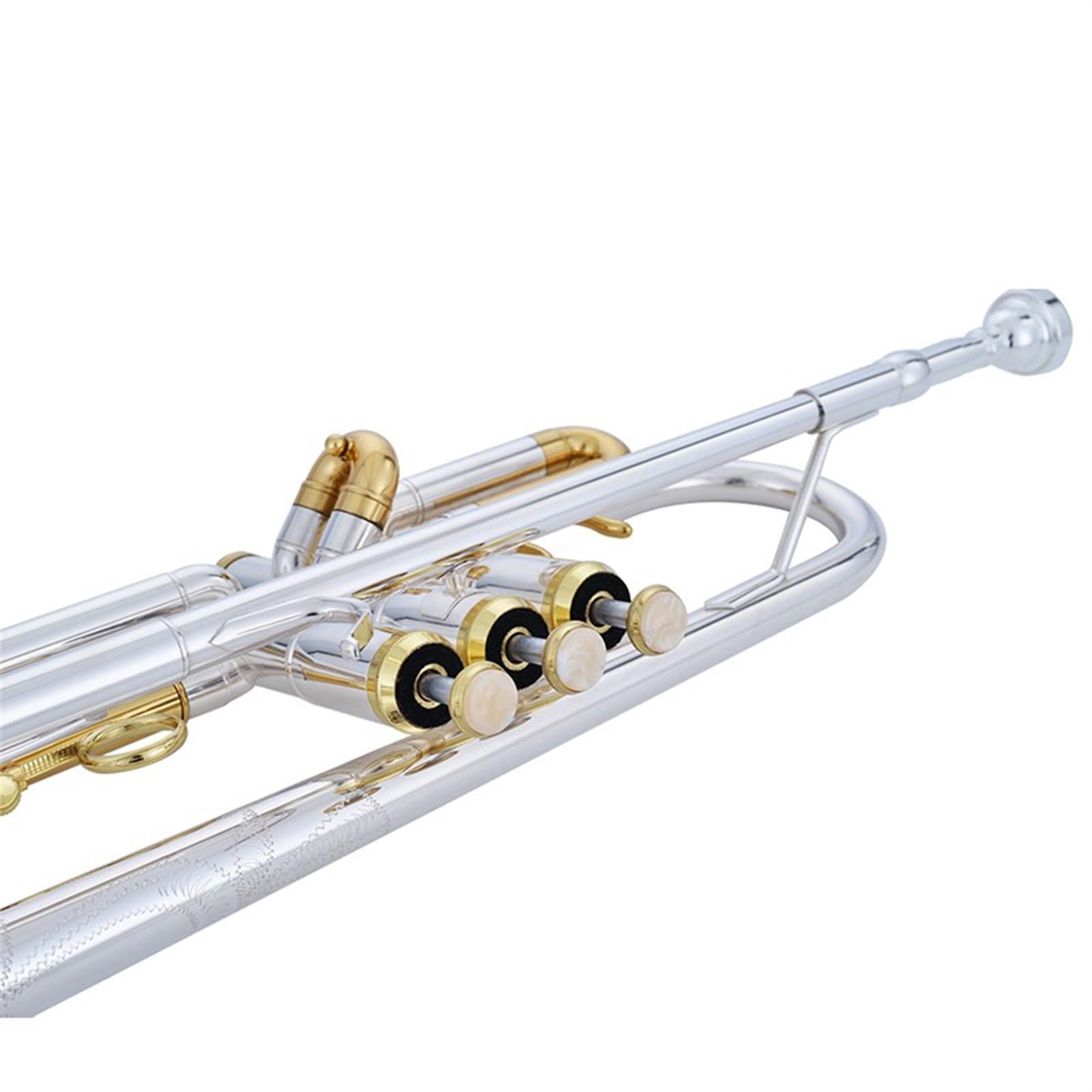 Amazon | トランペット Bフラット 管楽器 金管楽器 初級受験演奏用楽器