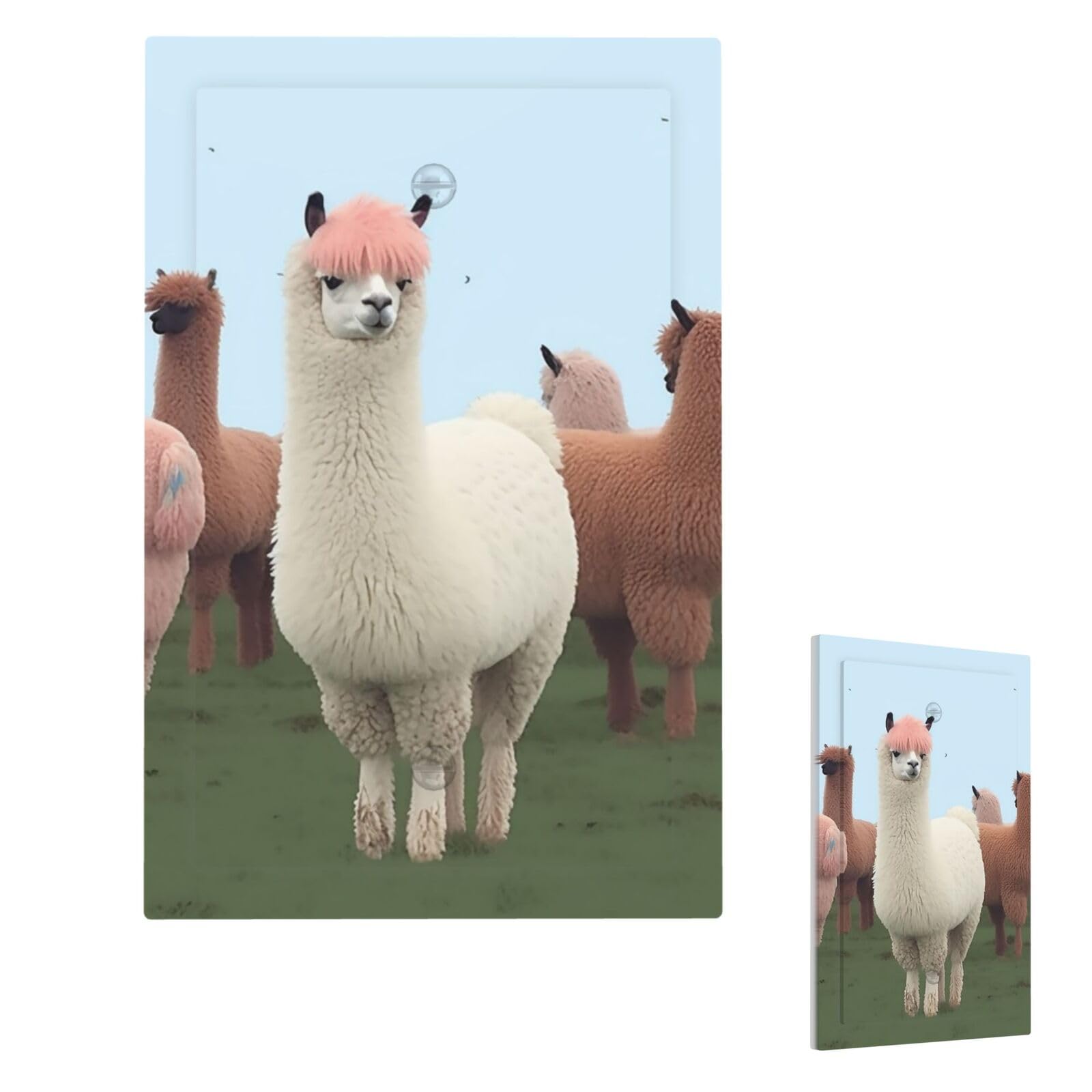 Alpacas Wall Plate Cover Single Blank, Modern Decorative Light Switch Cover Unbreakable Receptacle Outlet Covers for Living Room Bedroom Decor
