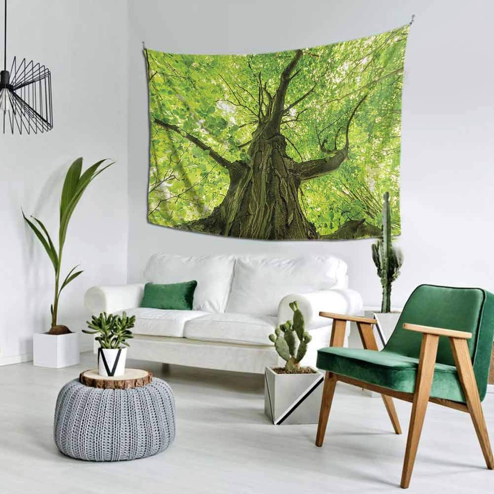 Farm House Decor Simple Tapestry Large （80x60 Inch） Old Big Majestic Tree Environment Countryside Eco Solidarity National Park Scenery Easy to Hang Green Brown
