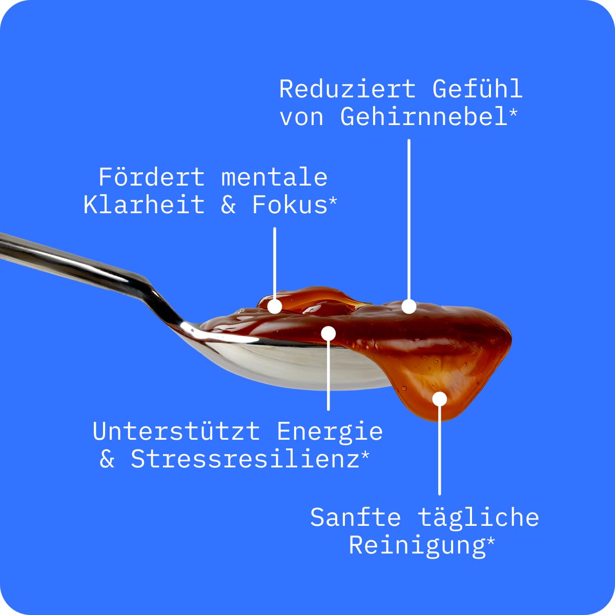 BodyBio PC - Phosphatidylcholin für Gehirngesundheit, Mentale Klarheit, Kognitive Funktion, Zelluläre Unterstützung & Gesundes Altern, Phospholipide Complex für Sanfte Tägliche Reinigung - 114 ml