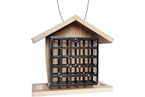 Suet Bird Feeder: Wild Haven for Feathered Friends