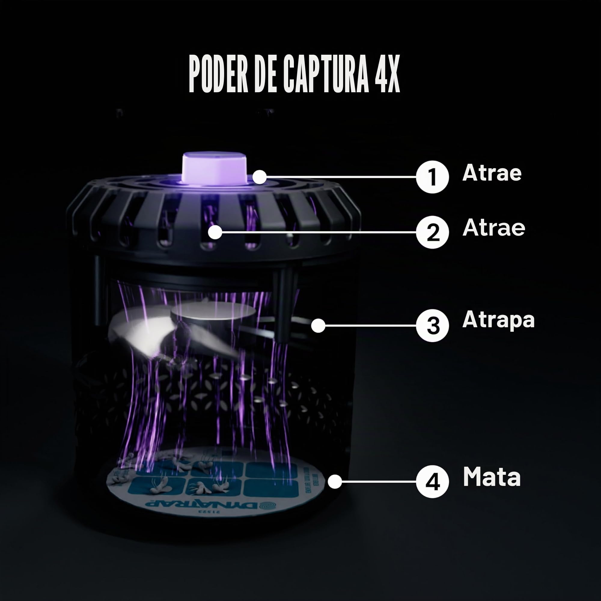 DynaTrap DT152 - Trampa y Mata Insectos para Interiores, atrapa y Mata Moscas de la Fruta, Mosquitos, polillas, Mosquitos y Otros Insectos voladores
