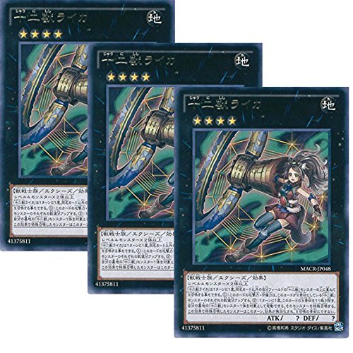 3Zbg VYJ[h MACR-JP048 \bCJ A VYARC-V [}LV}ENCVX]