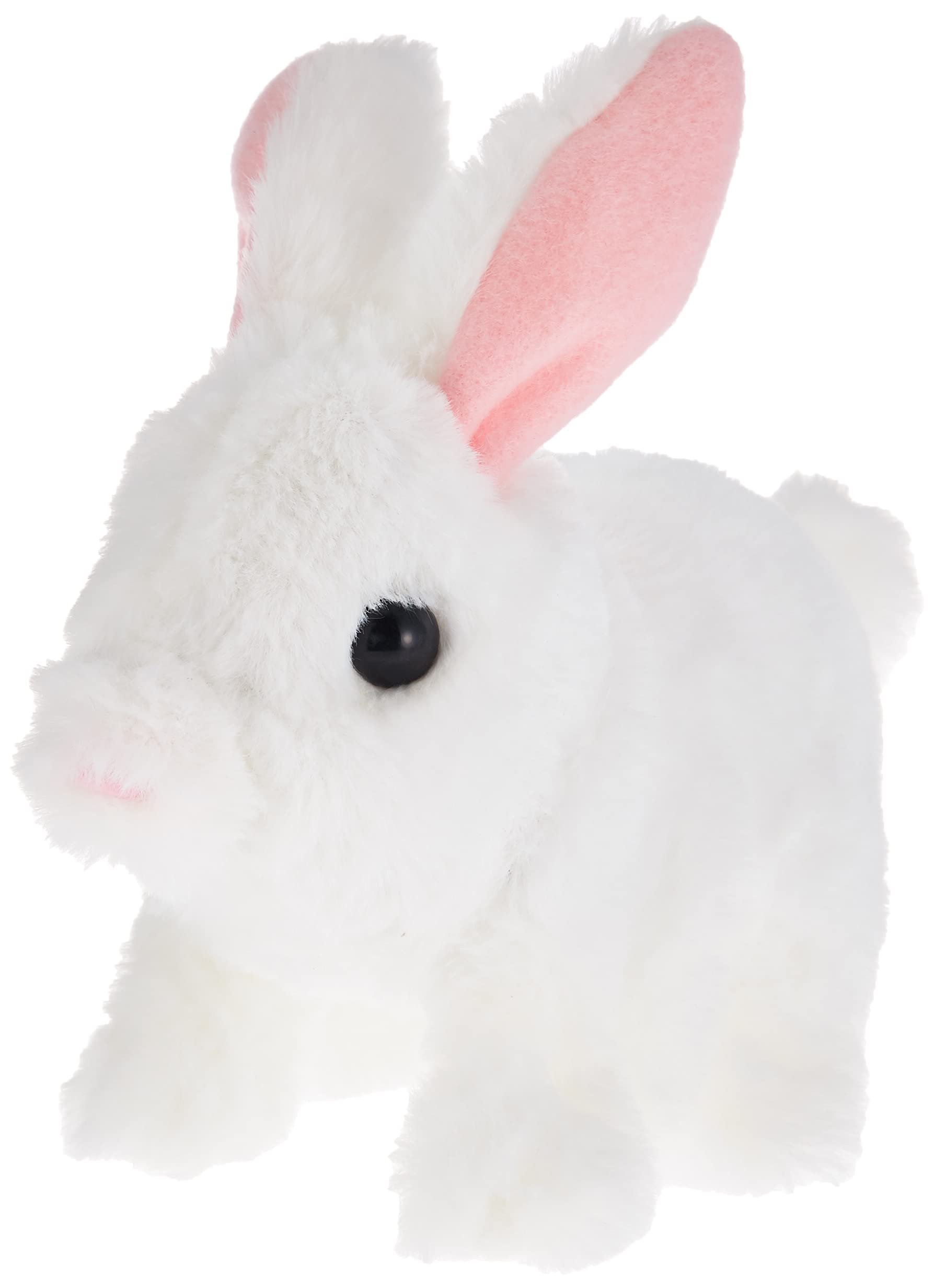 Pugs At PlayHopper Jumping Rabbit, Pugs At Play, Hopping Club, St Pap10