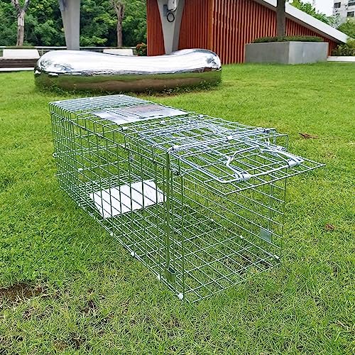 Folding Collapsible Humane Live Animal Cage Trap No-Kill Trapping Kit for Humane Catch Release Rodent Rabbits, Stray Cat, Squirrel, Raccoon, Opossum, All Fit Sized Animals, 2-Door 26\" x 9.5\" x 10.2\"
