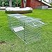 Folding Collapsible Humane Live Animal Cage Trap No-Kill Trapping Kit for Humane Catch Release Rodent Rabbits, Stray Cat, Squirrel, Raccoon, Opossum, All Fit Sized Animals, 2-Door 26
