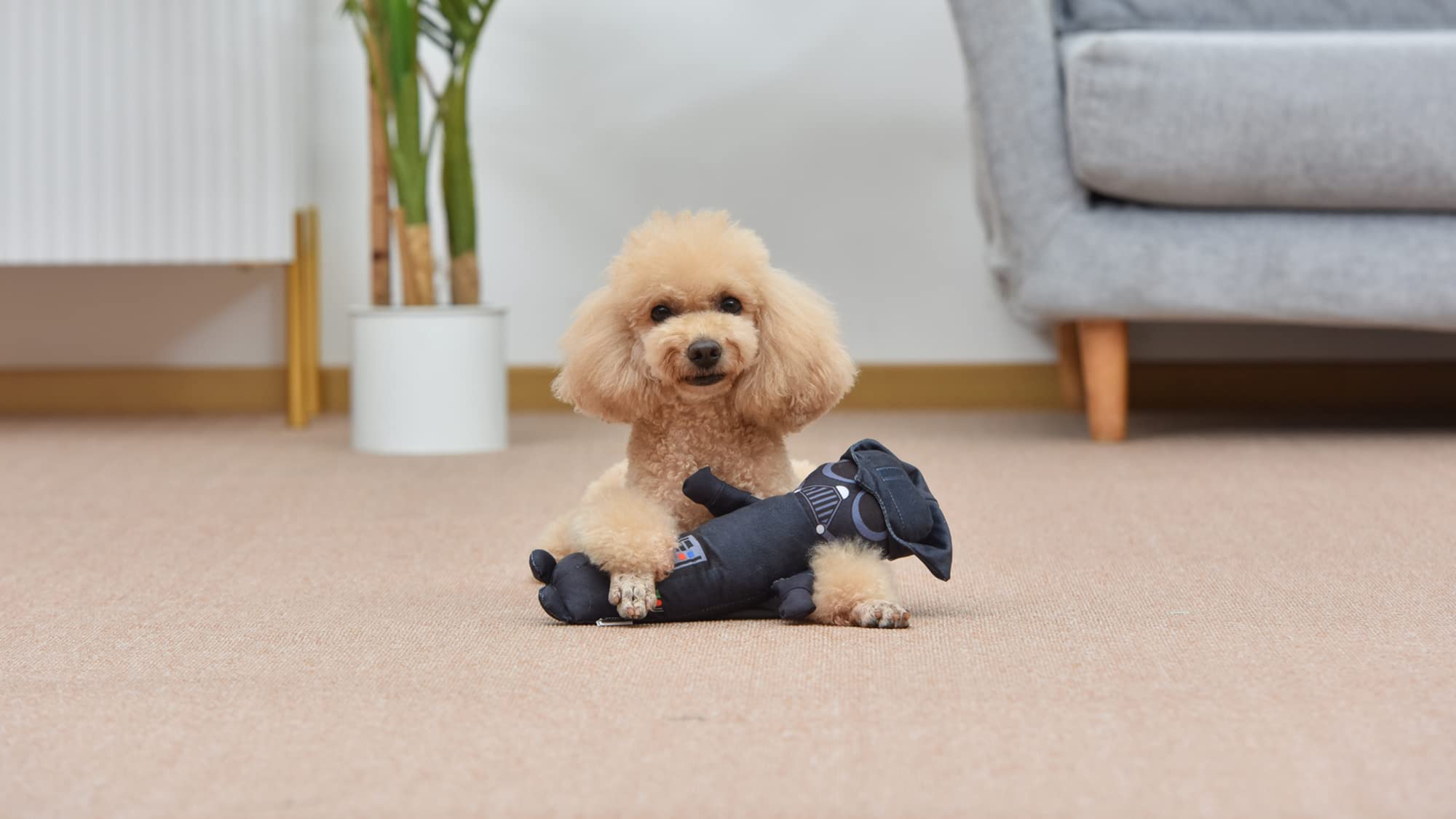 Star Wars for Pets Darth Vader Plüsch-Bobo-Hundespielzeug mit Quietscher | Darth Vader Spielzeug für Hunde Hundespielzeug, Quietschendes Hundespielzeug, Bobo-Stil Hundespielzeug, Hundekauspielzeug