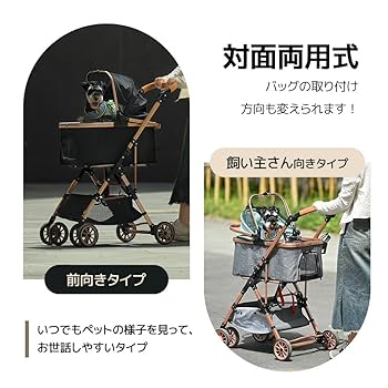 F10老船ドックへ ARD