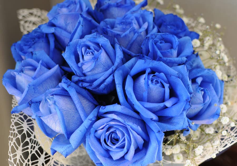 24本青バラブーケ Amazon.co.jp: 成人式に贈るお花 20歳のお祝いにそのまま飾れる 青い