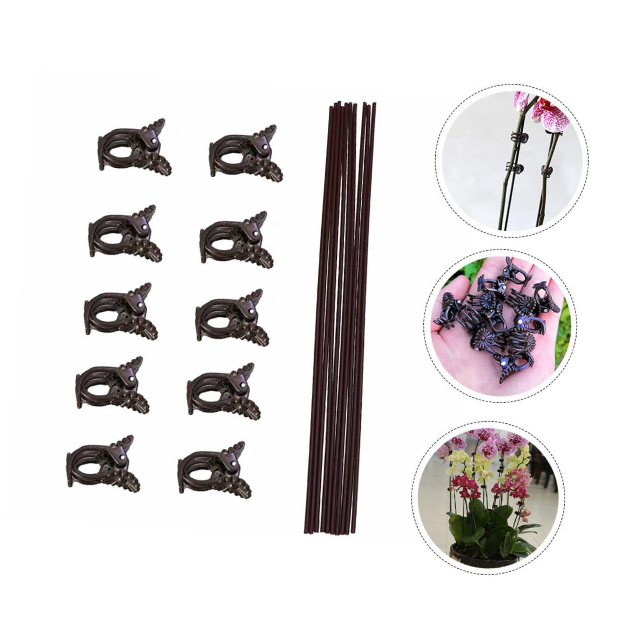 UPKOCH 2 Sätze Teiliges Set Pflanzstützen Clips Mit Eisenstäben Und Klammern Für Kletterpflanzen Wetterfest Wiederverwendbar Zur Unterstützung Von Orchideen Und 20 Stück * 2