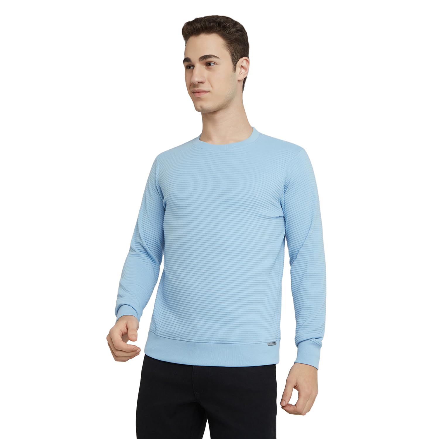 Men Regular Fit Structure Pattern Pure Cotton Full Sleeve Round Neck Casual Sweatshirt (Size: 40)-XMAR00647-B2 Light Blue-image-36