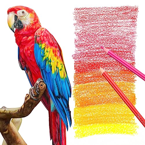 HIFORNY 80 Coloured Pencils Set for Adults Colouring - Image 4