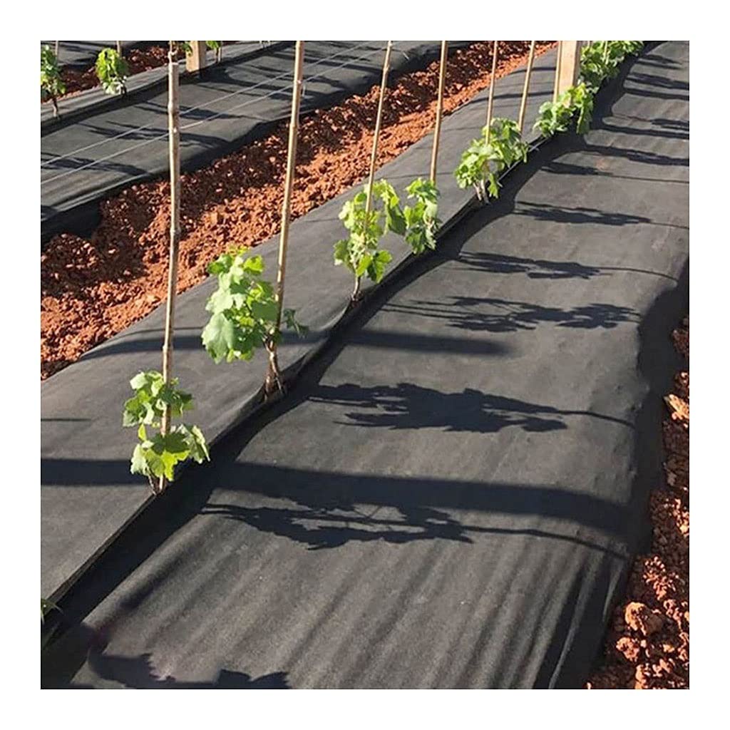 50 Cm * 10metry Weed-Downowa Tkanina Ogrodnicza, Czarna Chwastowa Tkanina Weeding Tkanina, Szmatka Przeciwsłoneczna Majsterkowanie Szklarnia