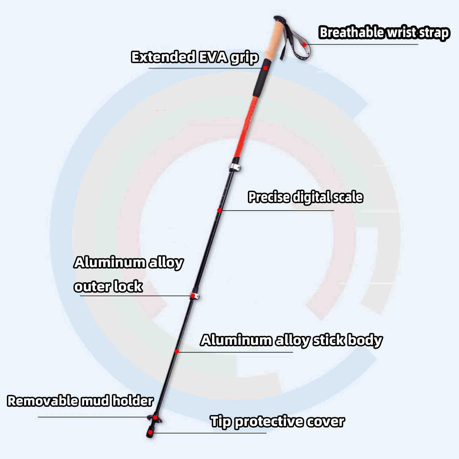 JUSHZ Bastones Senderismo Bastones Trekking Baston Regulables Adulto Aluminio para Mayores Bastón Plegable Senderismo para Caminar Mujer Mayor Exterior Deportes