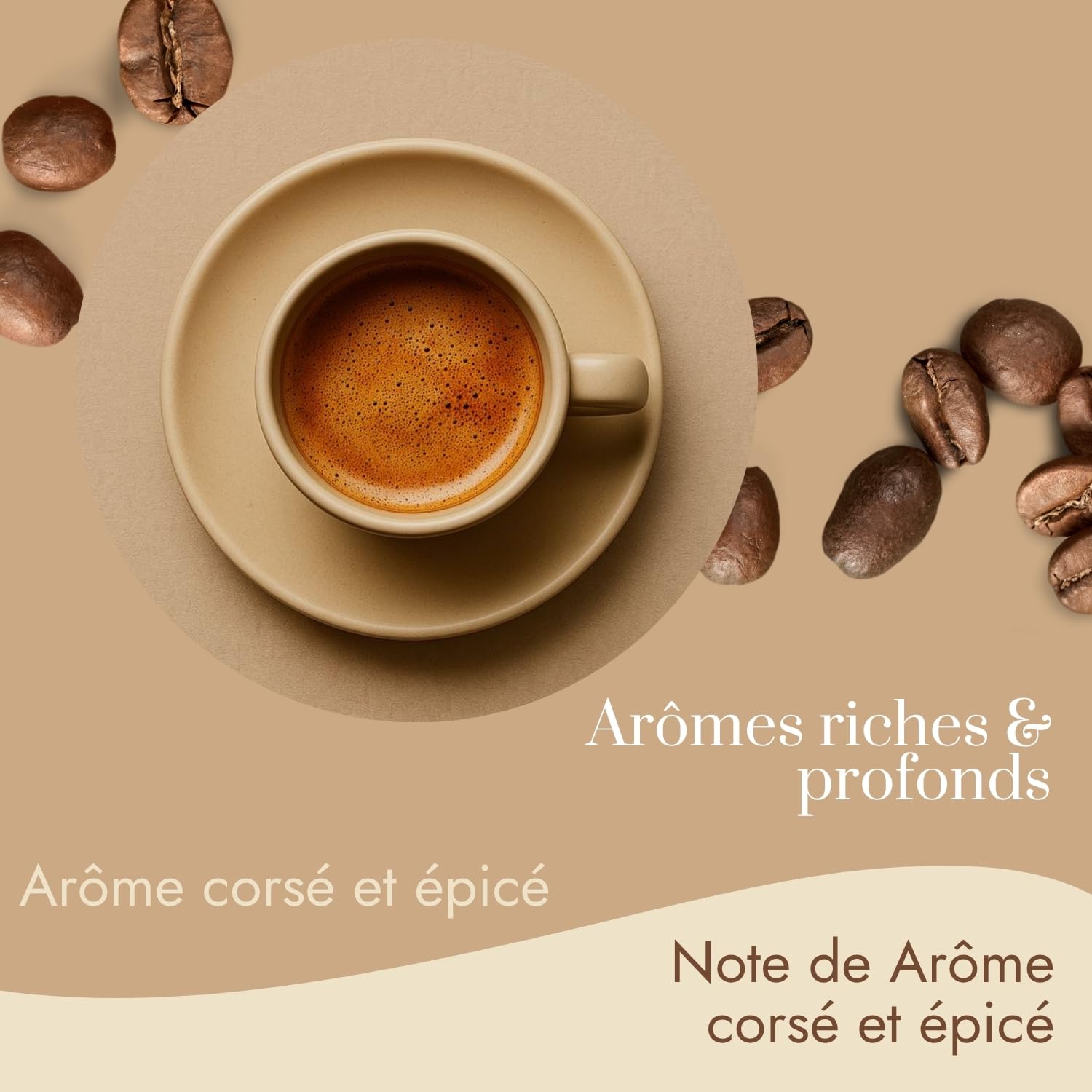 Café Bonnac – Café En Grain Éthiopie Buna Lekemp 500gr | 100% Arabica Naturel | Notes De Fruits Rouges Et Épices | Torréfaction Artisanale | Idéal Machine À Café Grain