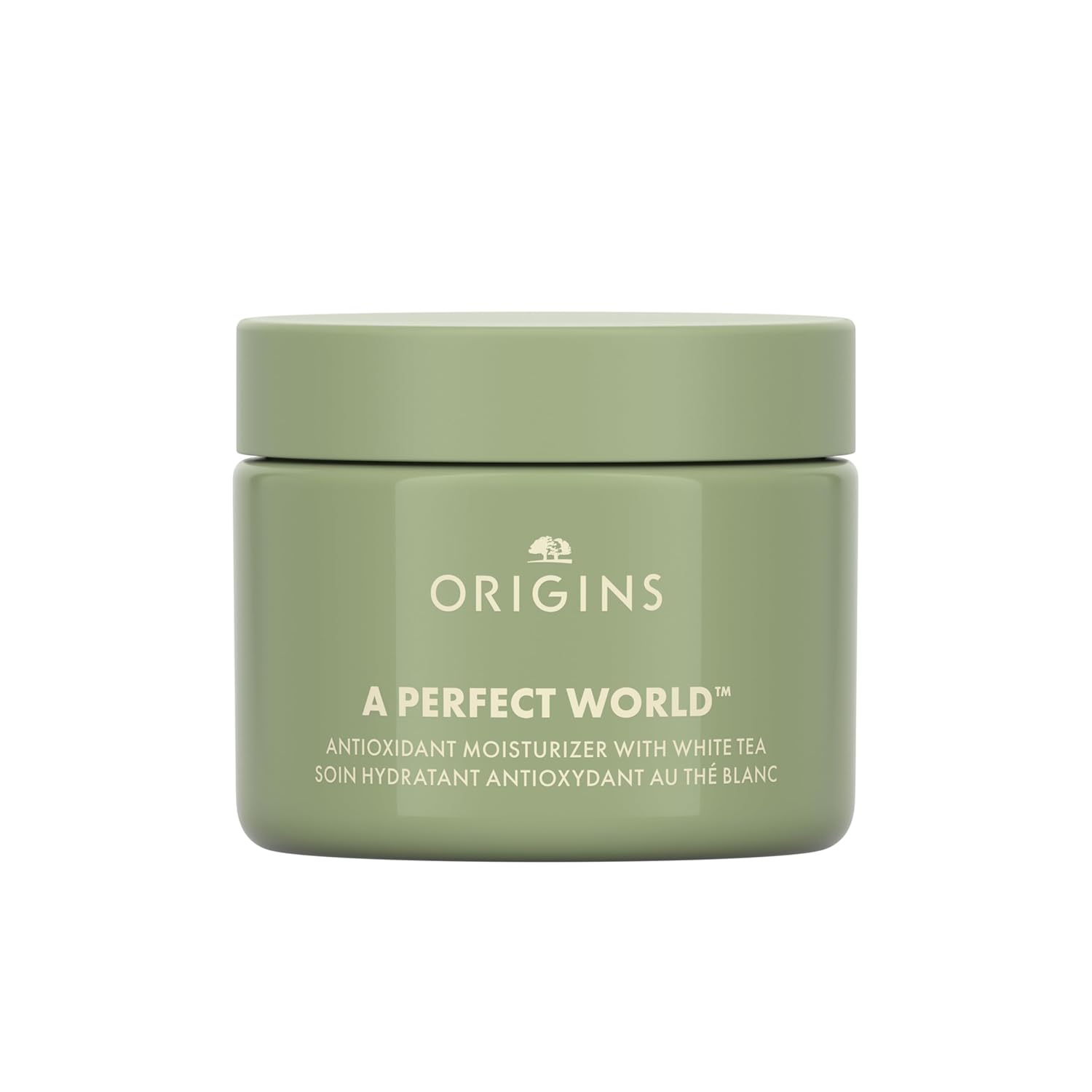 Origins A Perfect World Antioxidant Moisturizer | Keeps Skin Looking Youthful | With White Tea, 1.7 Fl Oz