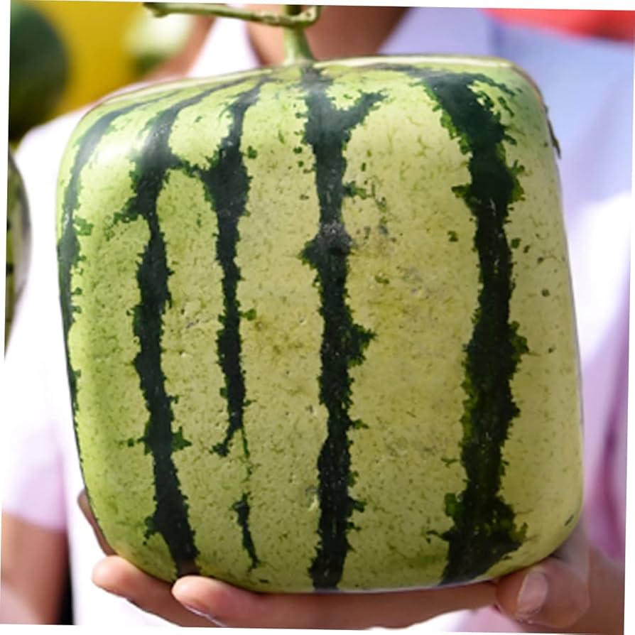 すいか　様　　専用 公式】トライアングルトリコットキャップ（ユニセックス