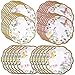 Talking Tables Truly Fairy Paper Plate with Fairy Design for a Tea Party or Birthday, Multicolor (24 Pack)