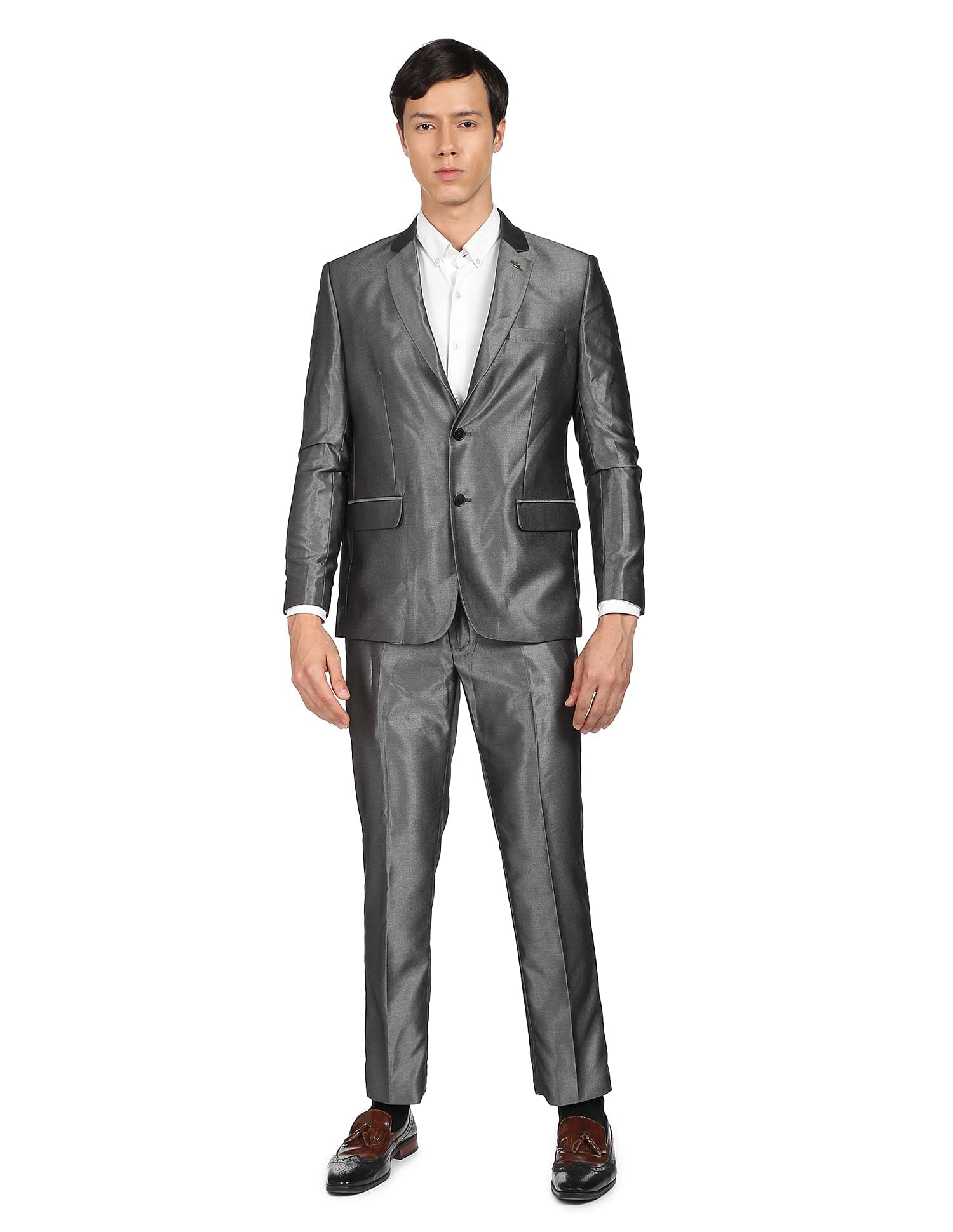 arvind Men Beige Single Breasted Oxford Two Piece Suit-picture-29