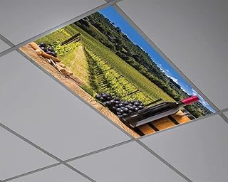 Amazon Com Winery Ceiling Lights Lighting Ceiling Fans Tools Home Improvement