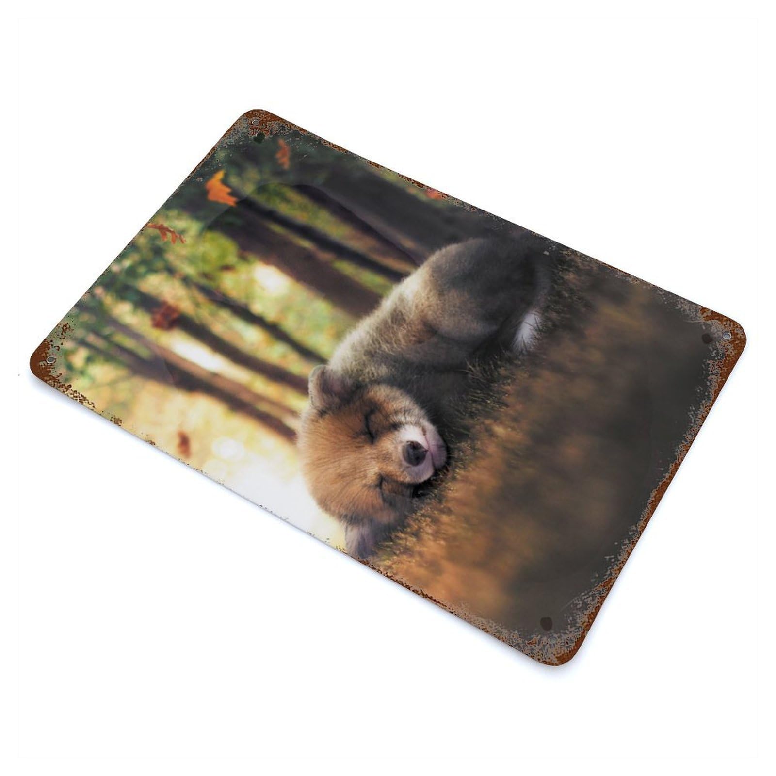 Rust Effect Tin Sign The Sleeping Fox Cub 11.8"x7.9", Vintage Wall Decor for Basement, Hobby Room And Garage Decor