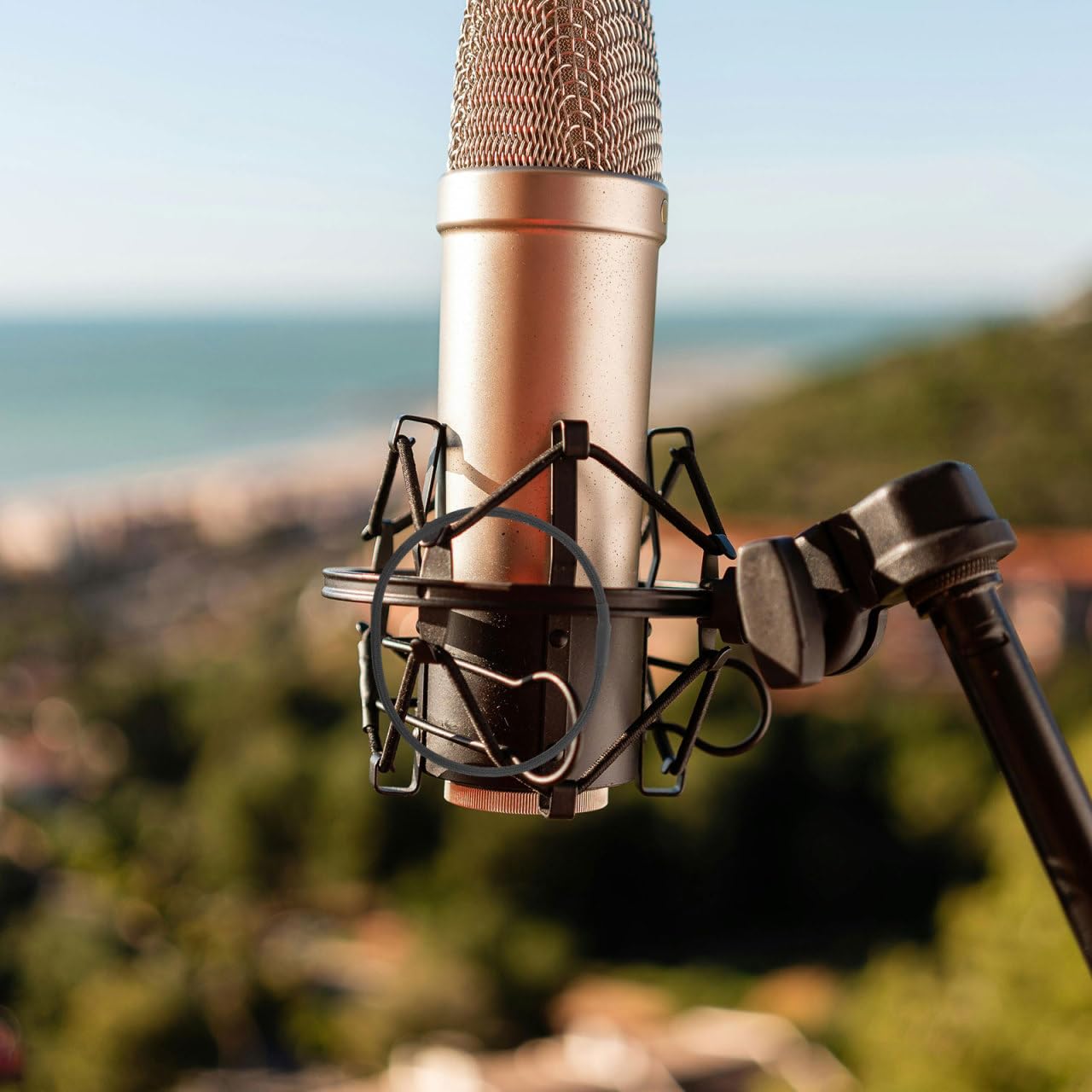 Didiseaon 10 Pièces Corde D'amortisseur à Microphone Corde Élastique Support De Micro Pour Pied Porte-micro Pour Entretien à Cadre Antichoc Support De Microphone Caoutchouc Noir