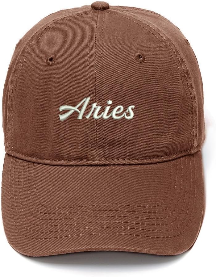 ARIES キャップ 360 Cap Black – Aries