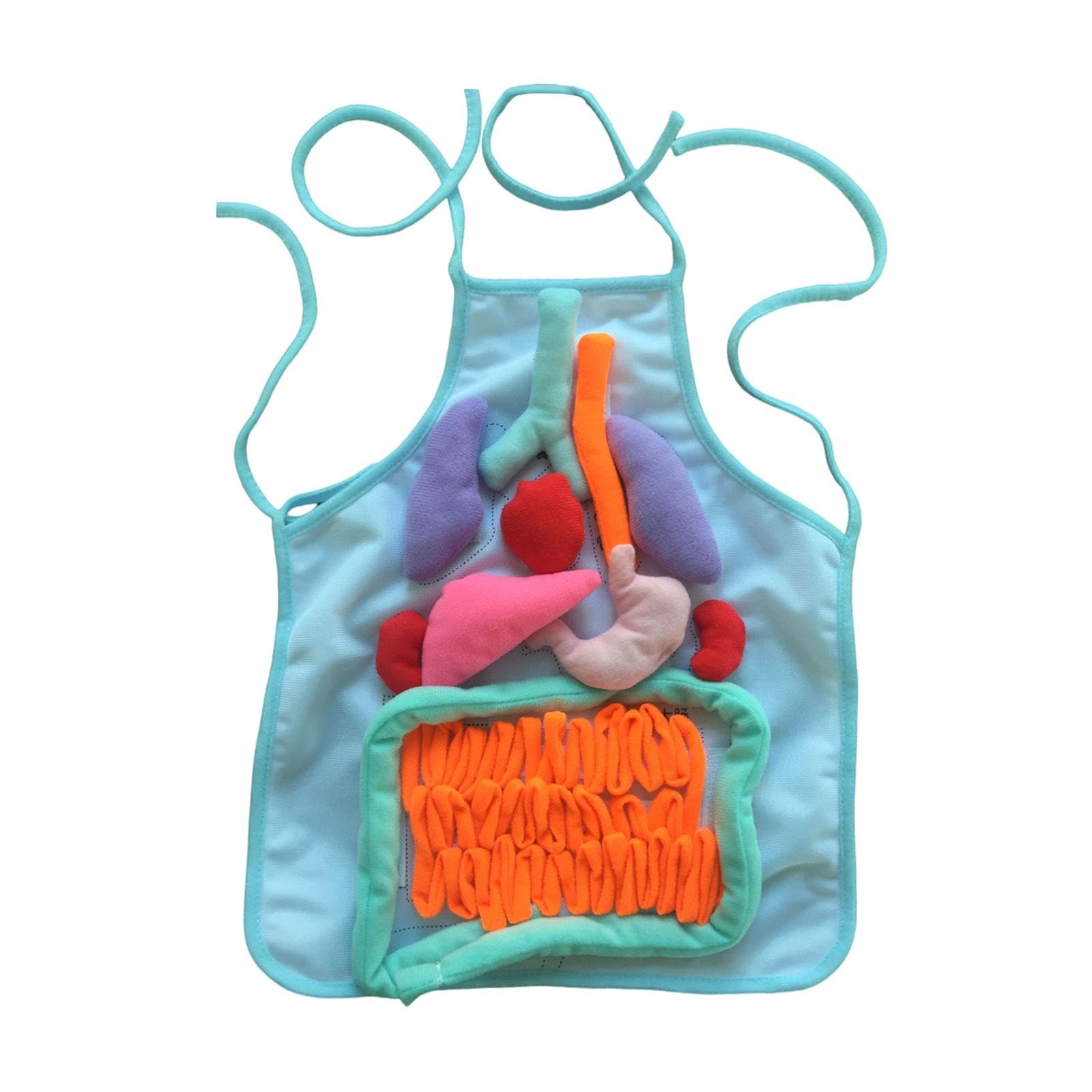 Sharplace Grembiule 3D con Organi per Bambini, Grembiule Didattico Tridimensionale del Corpo Umano, Modello di Organi Interni, per Scuola E Asilo Nido, Blu