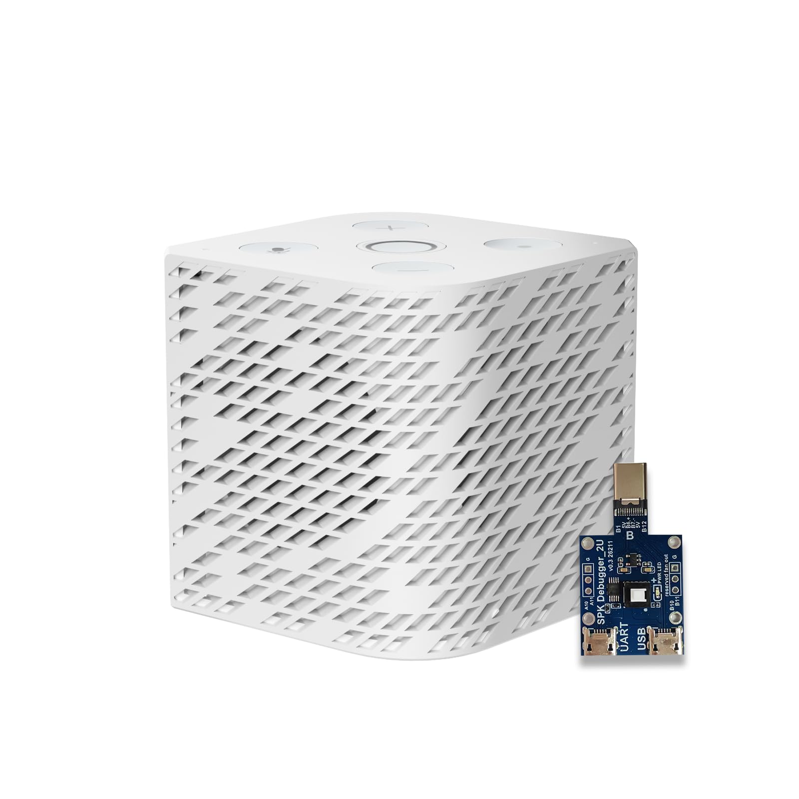 Third Reality Voice/Music Assistant Édition développeur – Préinstallé avec Assistant Vocal Home Assistant et Assistant Musical, Deux Microphones numériques, Haut-parleurs 3 W, WiFi 2,4 G Uniquement