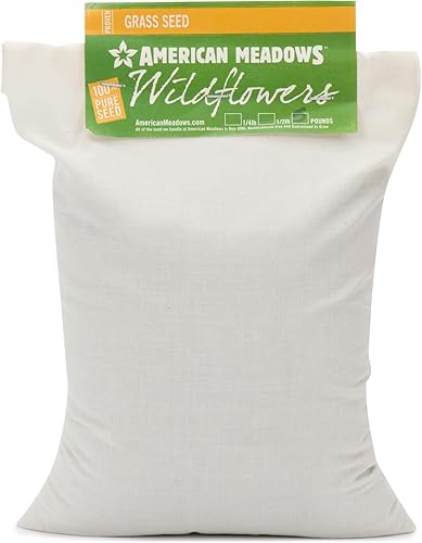 American Meadows Mezcla de semillas de césped de micro trébol alternativa de césped especialmente mezclada, bajo mantenimiento, gran cubierta de