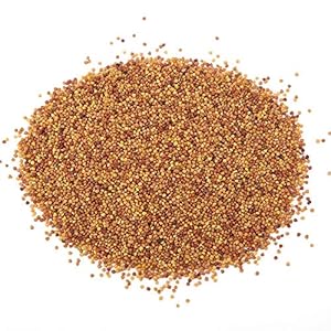 Semillas de Plantas de Acuario, Mini Plantas Hoja Hierba Tanque de Peces Paisajismo Decorativo Adecuado para Acuario(# 1)