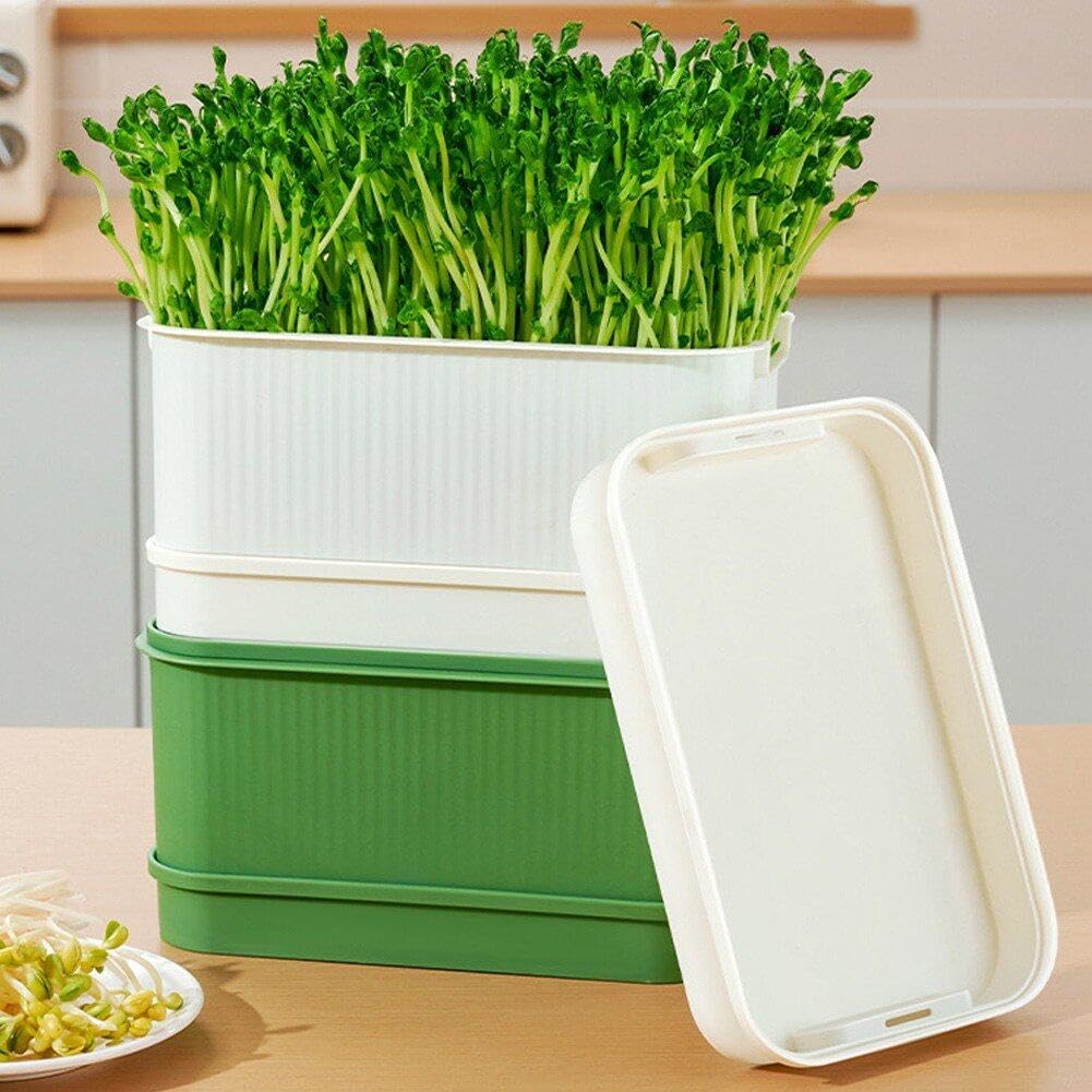 Kit Per Germinazione Semi - Vassoio Senza Suolo | Coltiva Germogli In Casa - Foto 2