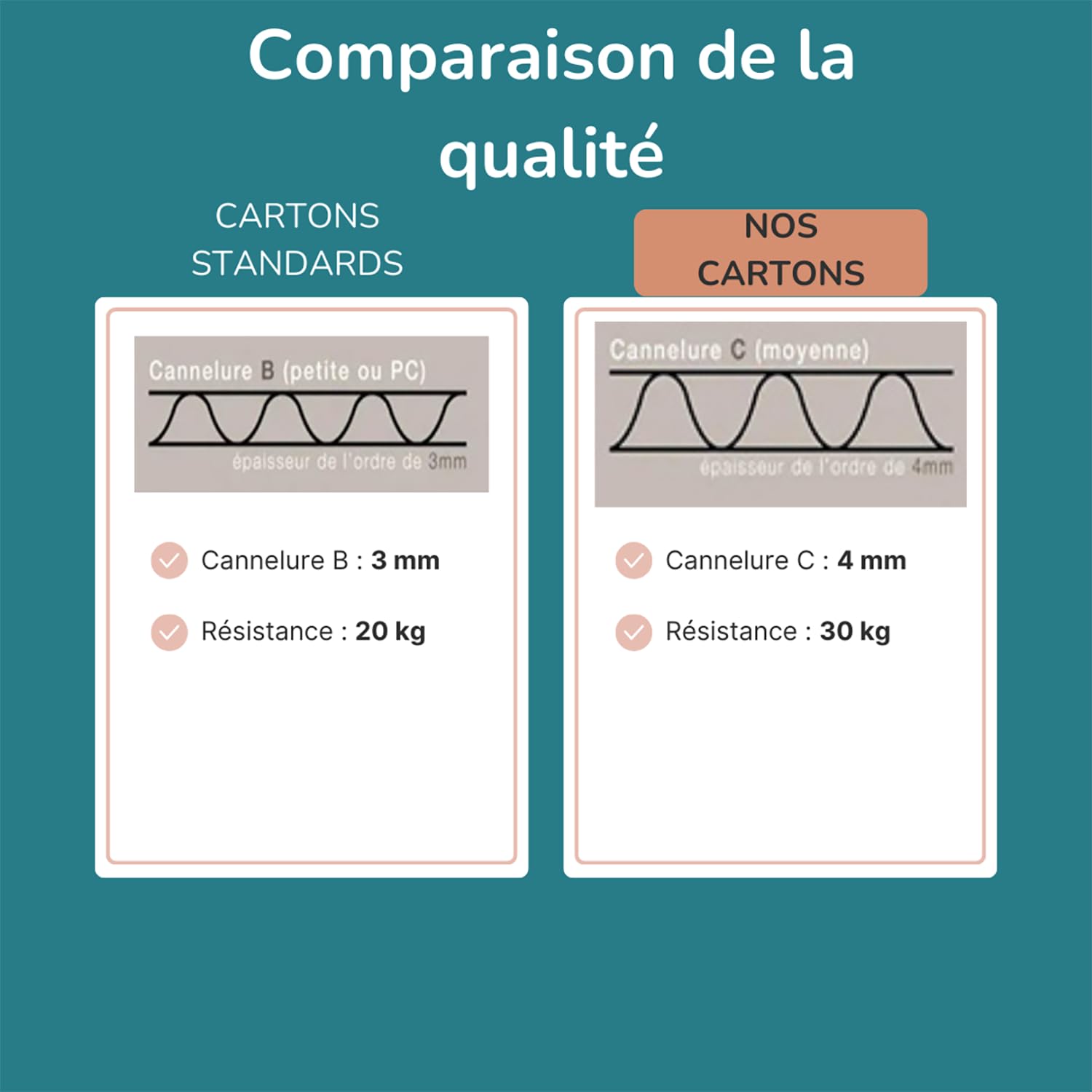 Lot 10 Cartons de Déménagement - Fabricant Français de Produit d'emballage - Résistance Extrême 30 kg - Grosse Épaisseur avec Poignées Renforcées - Réutilisable - 50 x 30 x 30 cm - LPVS