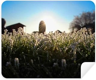 Science Nature Scenery Sunshine Green Forestry Cleaning Cloth Screen Cleaner 2pcs Suede Fabric