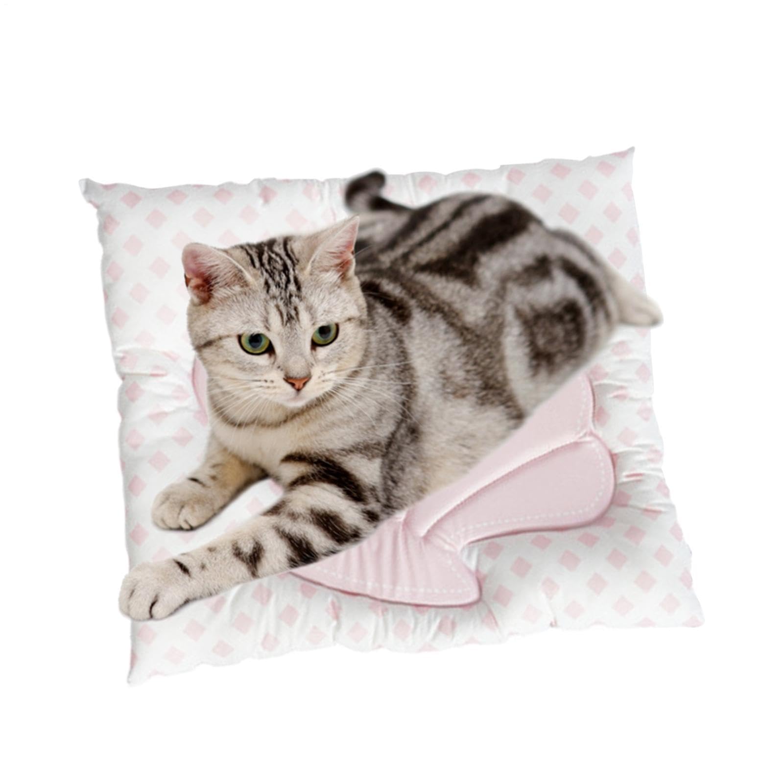 Tapis rafraîchissant pour chien coquille | Tapis de jeu ergonomique