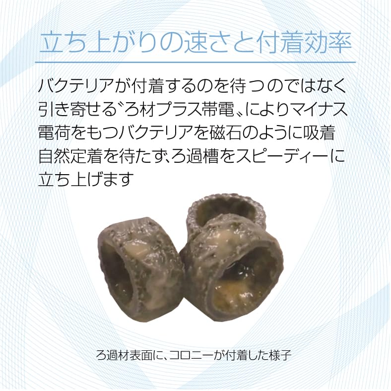 ゼンスイ　バクテリアホールド　Lサイズ バクテリアホールド｜ゼンスイ株式会社