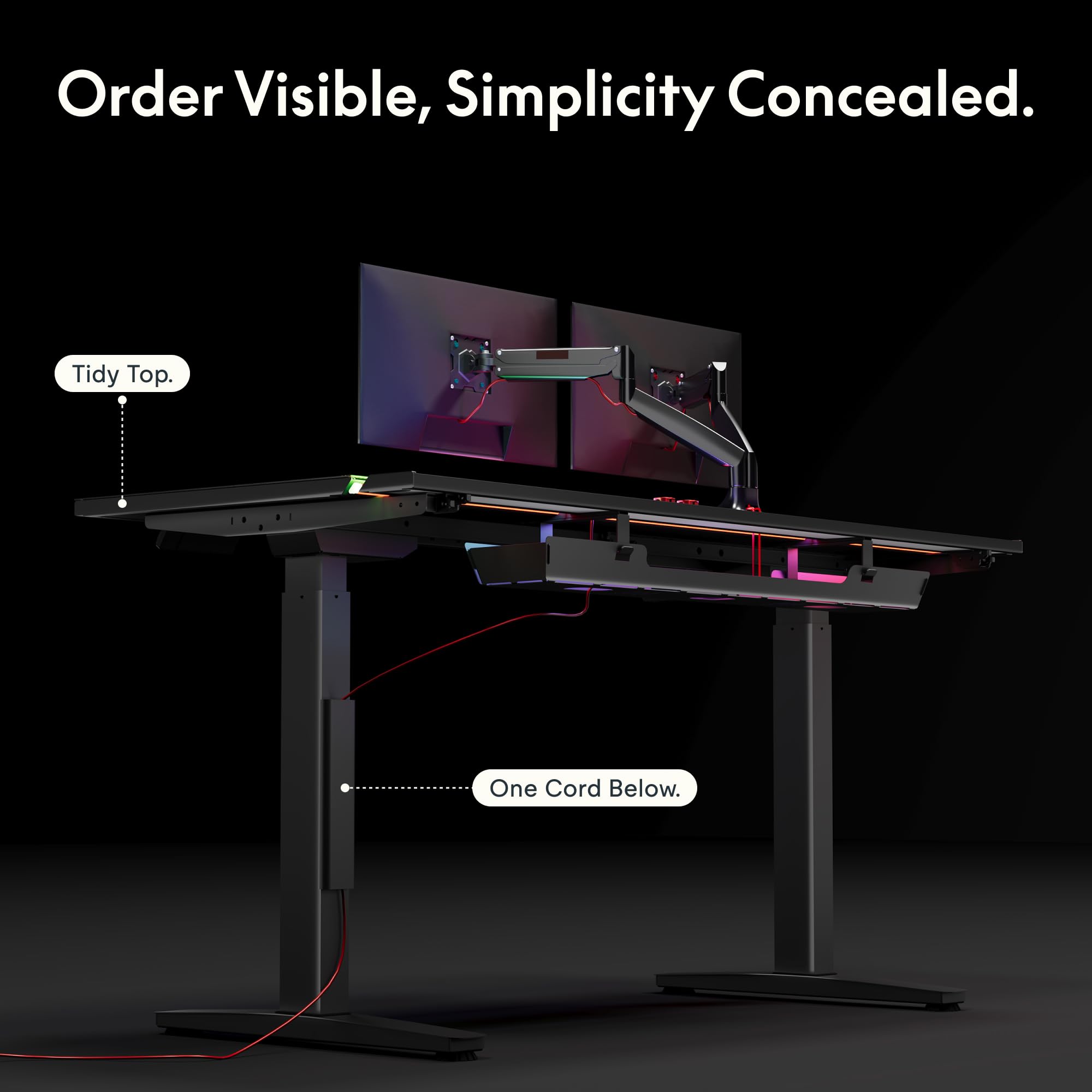 FLEXISPOT Electric RGB Gaming Standing Desk 55 Dual Motor Height Adjustable Desk with Integrated Cable Management Ergonomic Sit-Stand — view 6