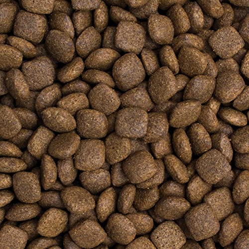 Premium Trockenfutter für Hunde mit Ente und Reis für Erwachsene mittlerer und großer Rassen, 500 g